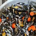 Bild von Cozze