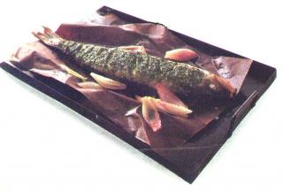 Bild von Zander in Papier